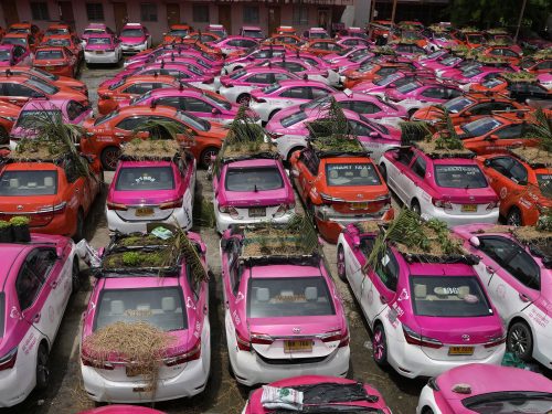 Des taxis transformés en jardin communautaire en Thaïlande