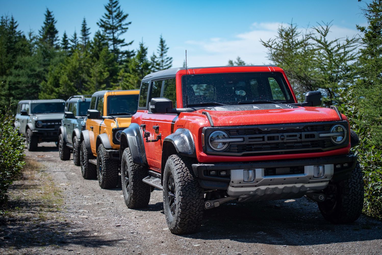 Interesting Bronco Everglades Vs Raptor Gallery