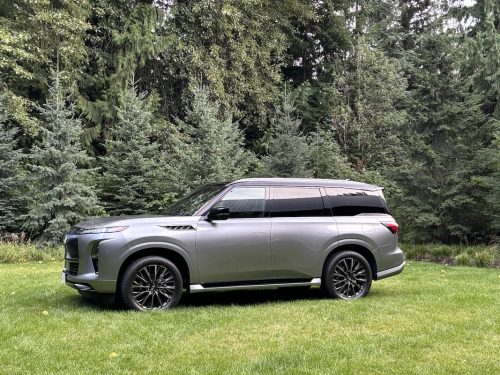 Infiniti QX 80 2025