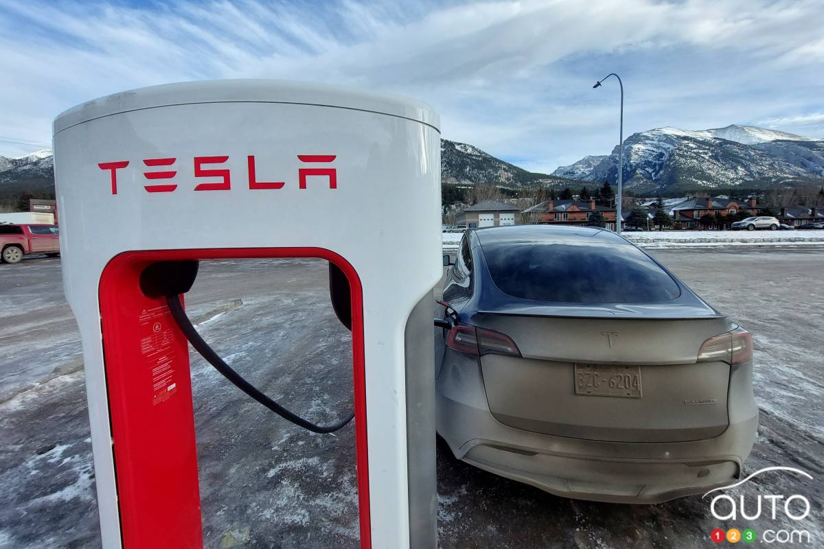 Tesla : les immatriculations en baisse de 67 % au Canada depuis le début de l’année